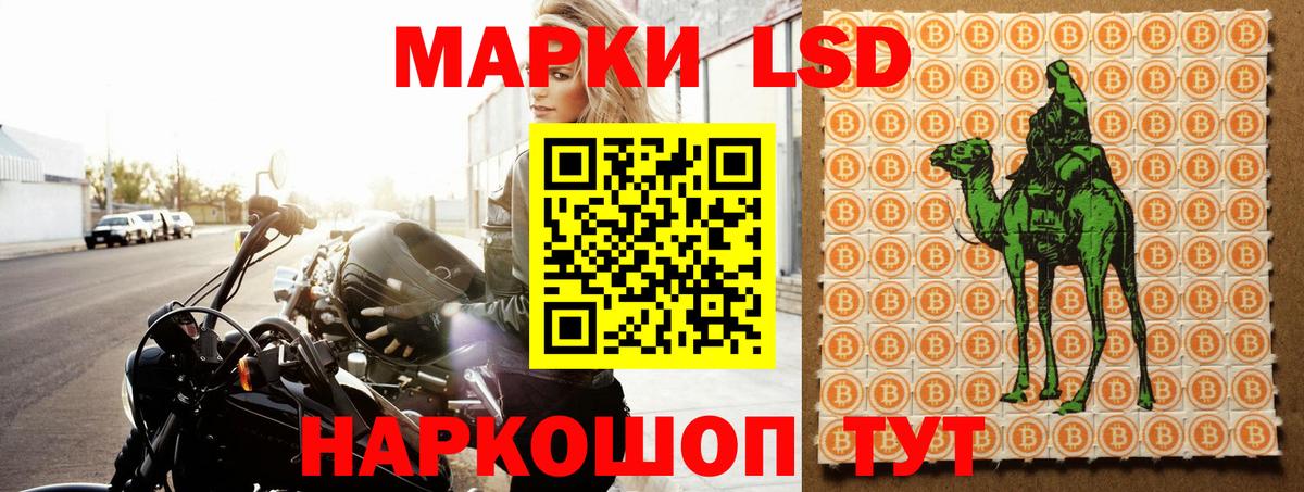 ЛСД экстази  ЛСД экстази кислота  Шали  Вход с VPN  Лсд 25 экстази кислота 