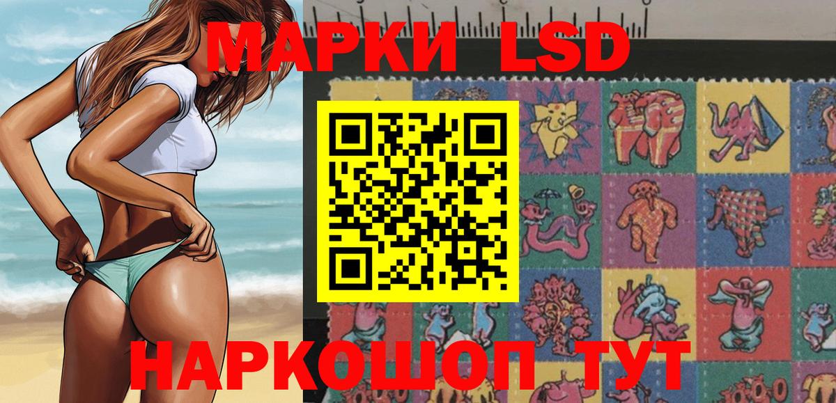как найти закладки  Вход с VPN  Шали  Марки NBOMe 1,5мг  Марки NBOMe 