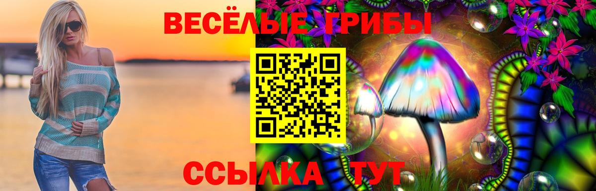 Псилоцибиновые грибы Psilocybine cubensis  Вход с VPN  Шали  Псилоцибиновые грибы мицелий 